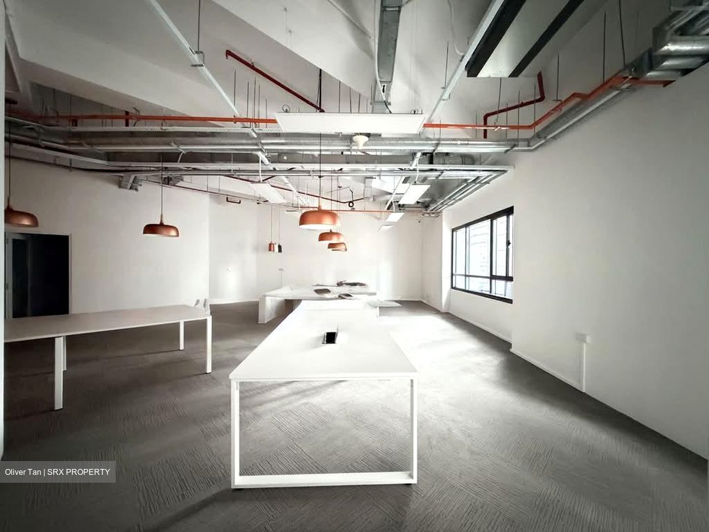 PLUS (D1), Office #581739091